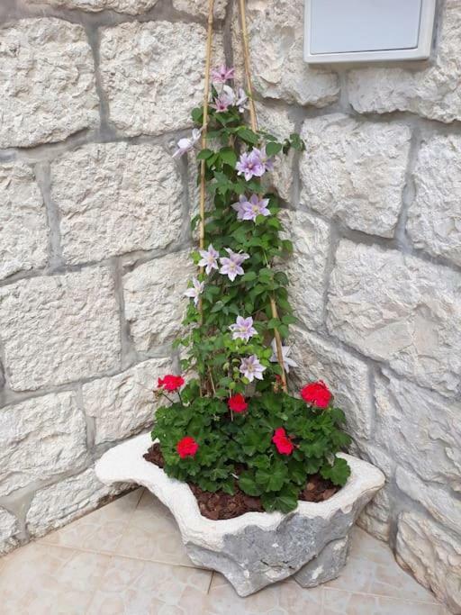 Villa Sweet Home Mokošica Exteriér fotografie